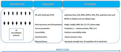 Accelerometry Correlates in Body Composition, Physical Fitness, and Disease Symptom Burden: A Pilot Study in End-Stage Renal Disease